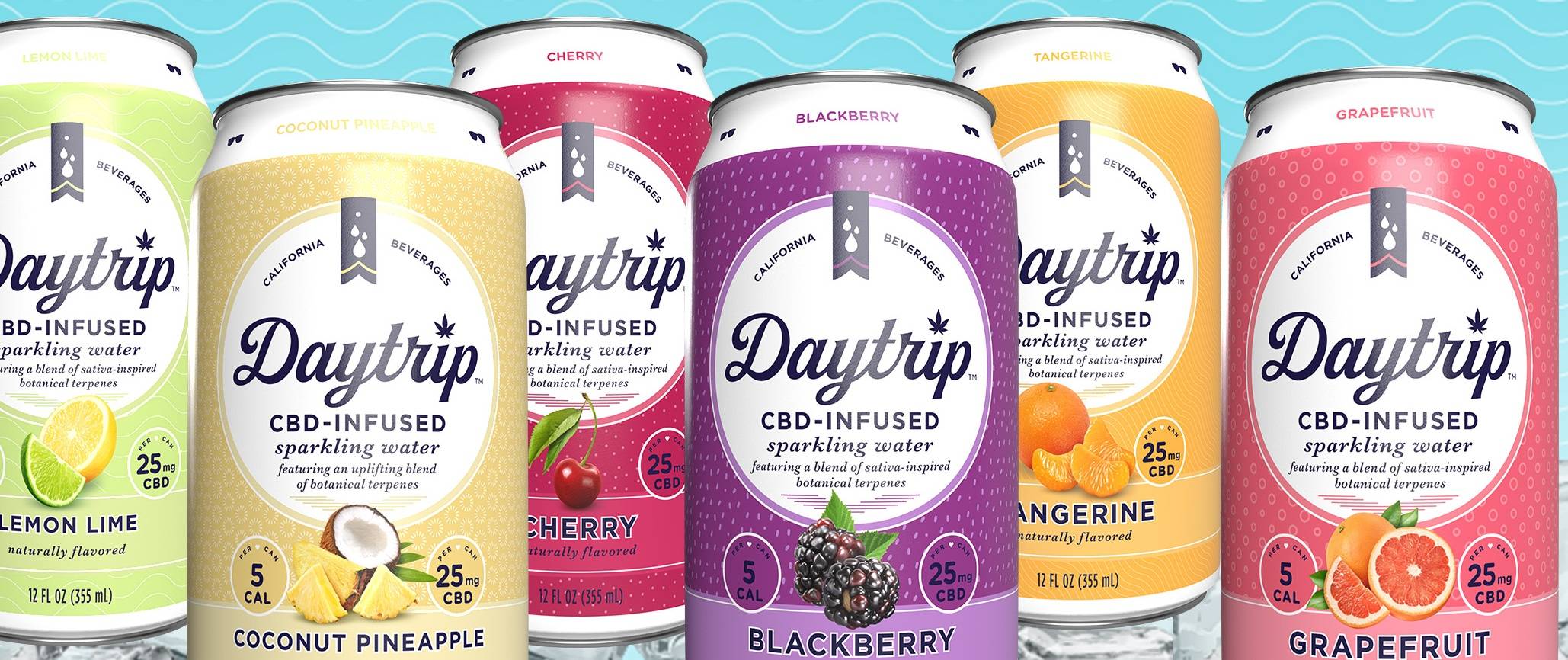 Daytrip Feature Cans