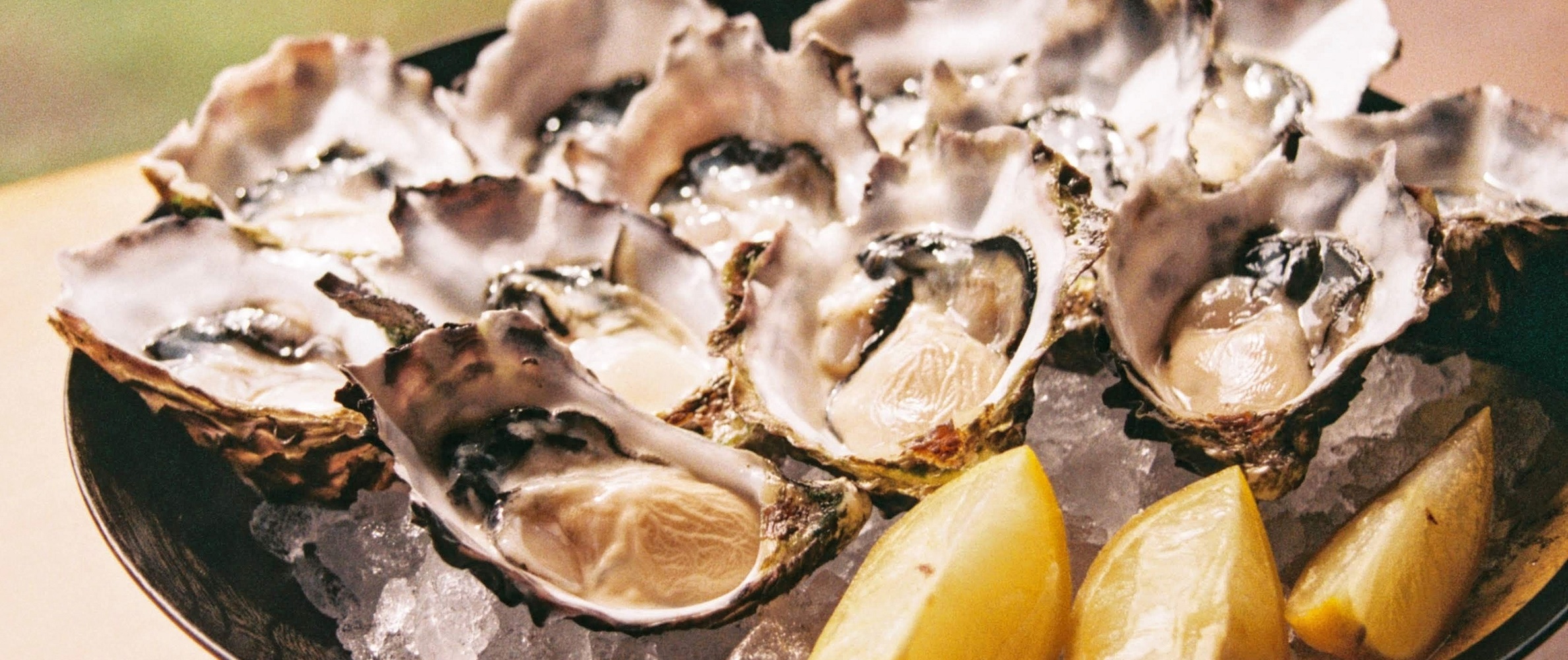 best-oysters-sf-2022.jpg