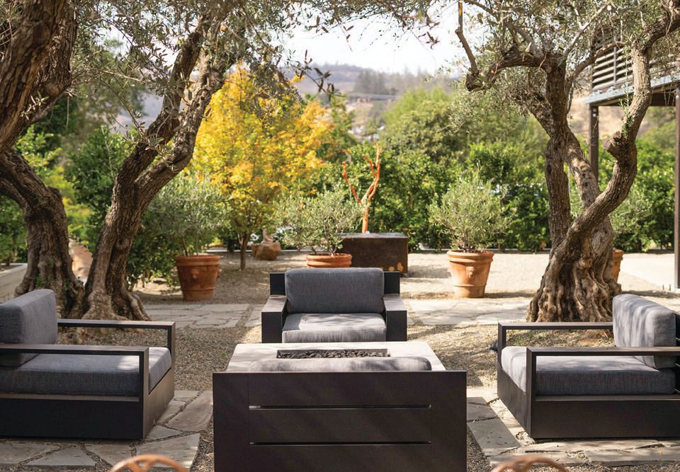 The outdoor area benefits from 80-year-old olive trees, two fire features, a vintage 600-pound concrete table and furniture from Giorgetti Apsara. PHOTO COURTESY OF STONES WINE