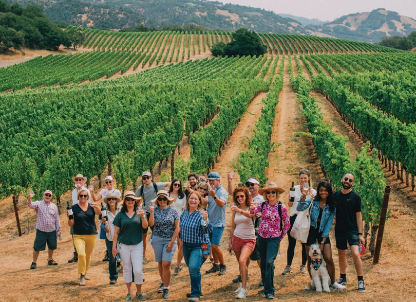 A group hike at Lambert Bridge Winery PHOTO COURTESY OF BRAND PHOTOGRAPHED BY BRADEN TAVELLI