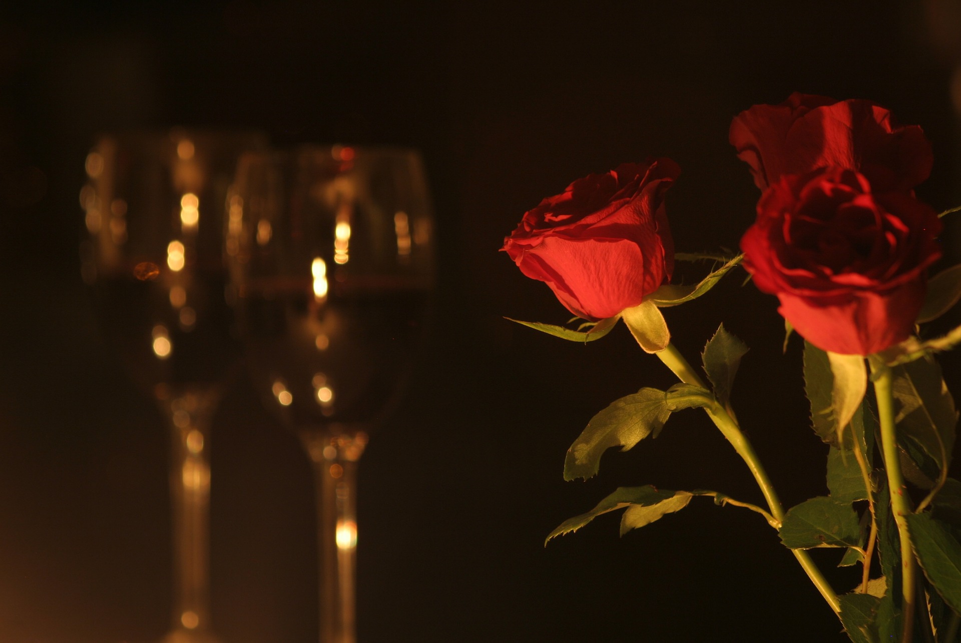 wine glasses and roses